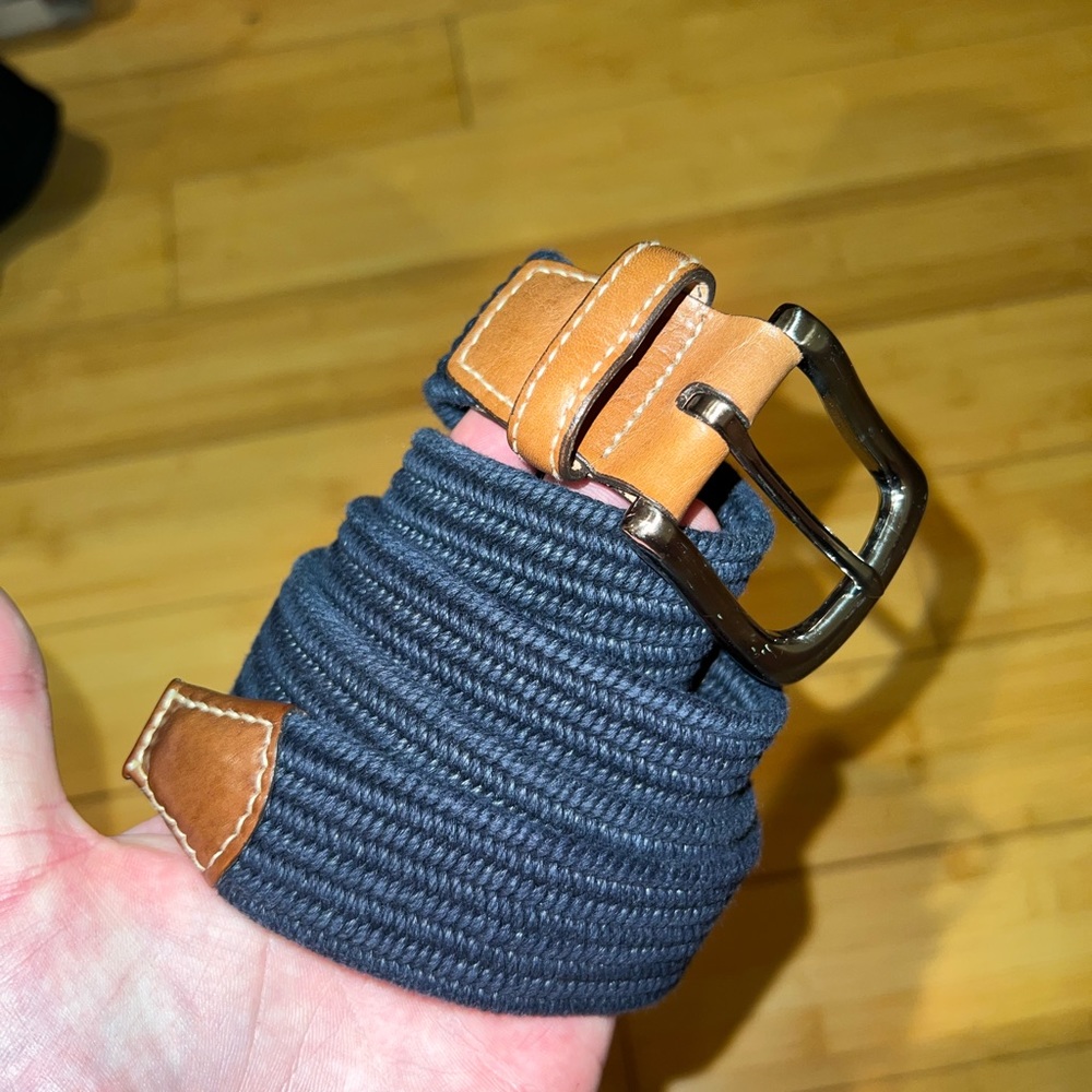 Brighton elastic belt